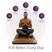Load image into Gallery viewer, BioMat Professional: Full-Body Far Infrared &amp; Crystal Healing Mat